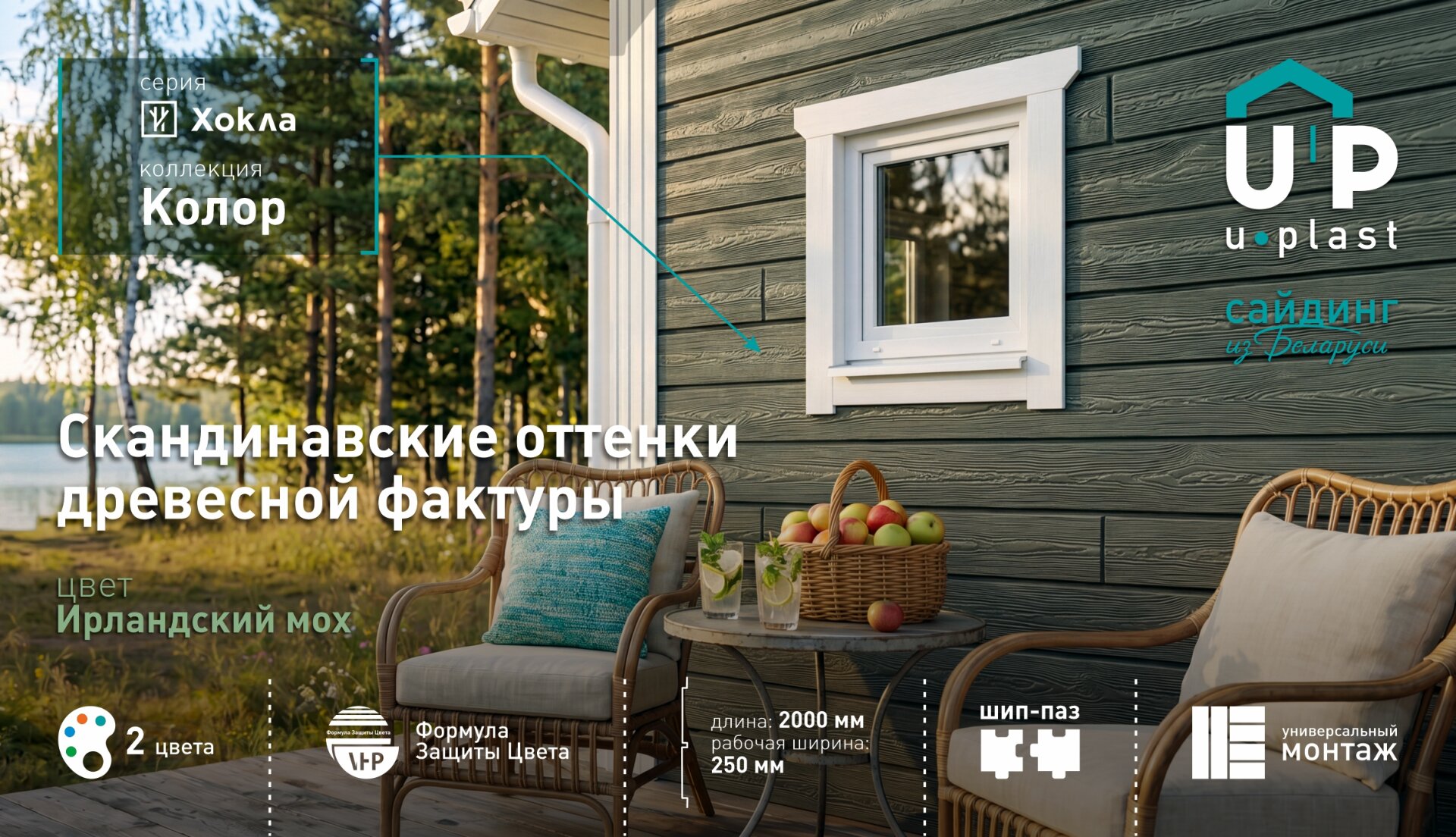 Колор